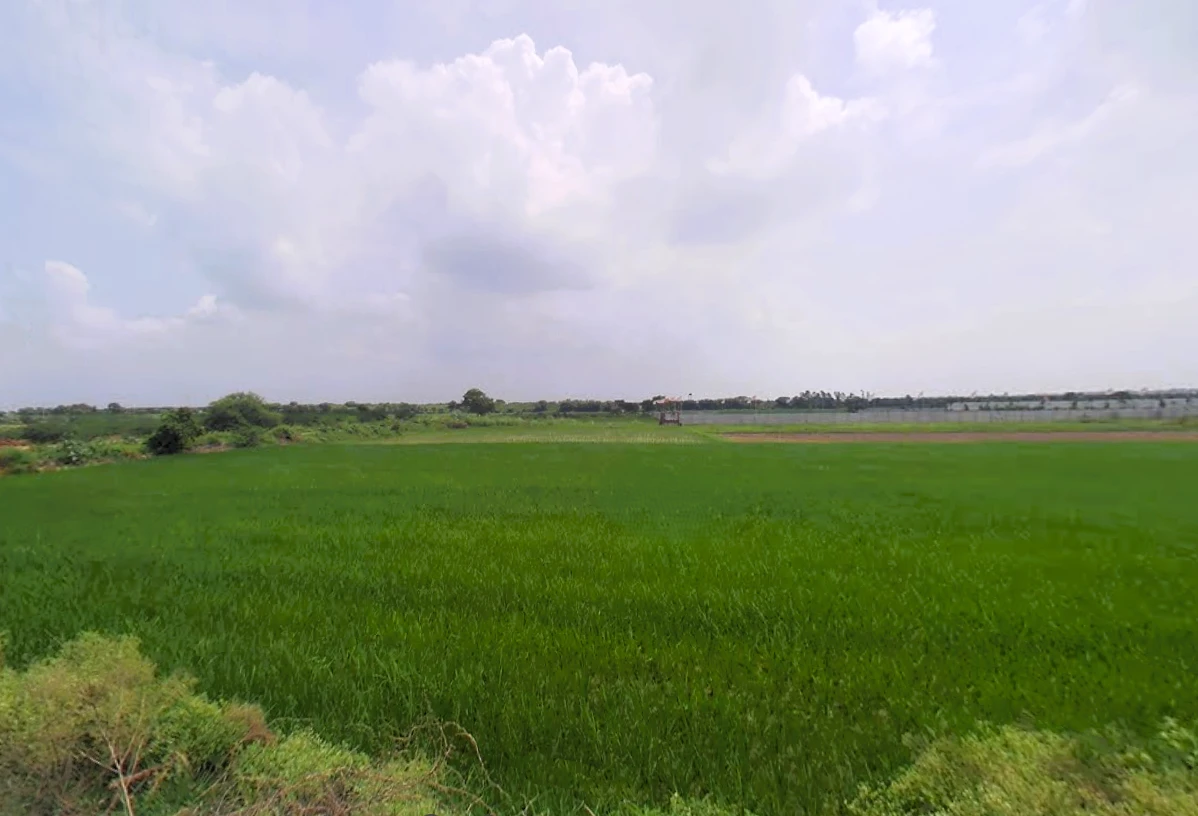 Maina, Haryana, India