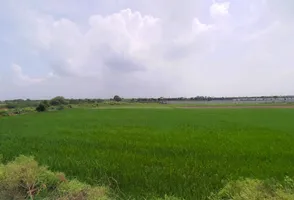 Maina, Haryana, India preview 2