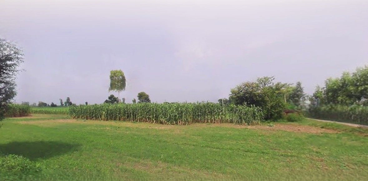 Jansath, Uttar Pradesh 251314, India