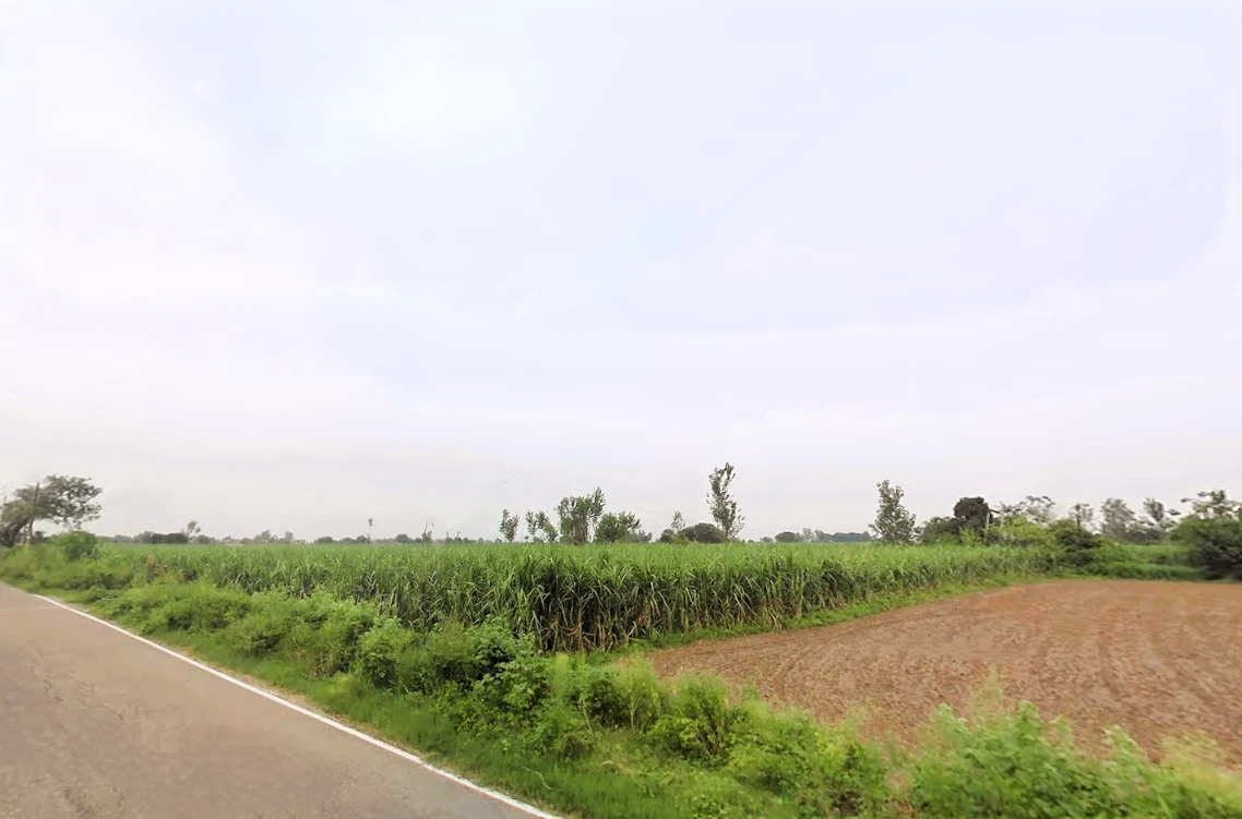 Sonta, Alawalpur, Uttar Pradesh, India