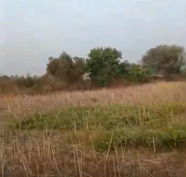 Kurai, Madhya Pradesh 480880, India