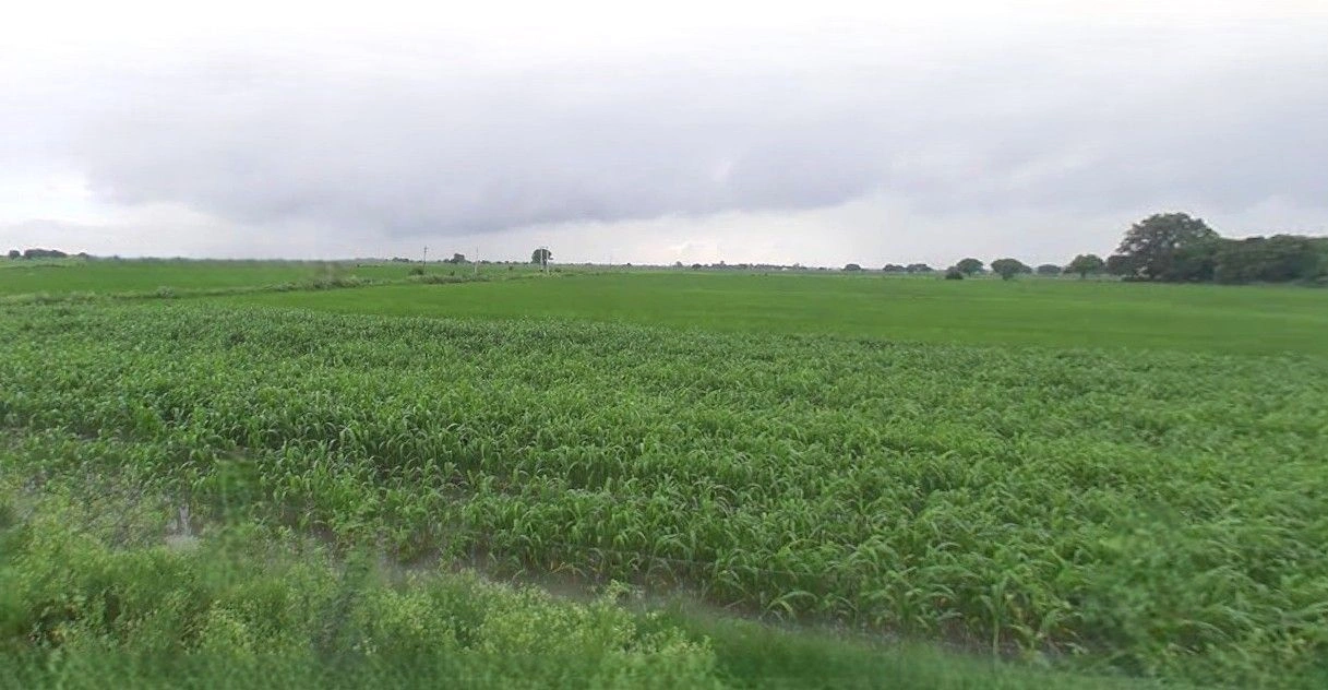 Rampur Maniharan, Uttar Pradesh 247451, India