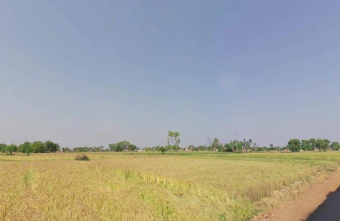 Baghora, Rajasthan 301405, India preview 3
