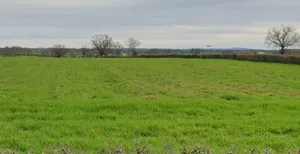 Pipalgone, Madhya Pradesh 451228, India preview 2