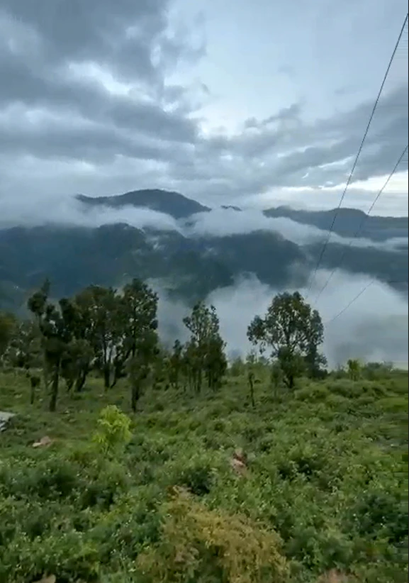 84PQ+RC8, Thewa, Dwara, Uttarakhand 249145, India
