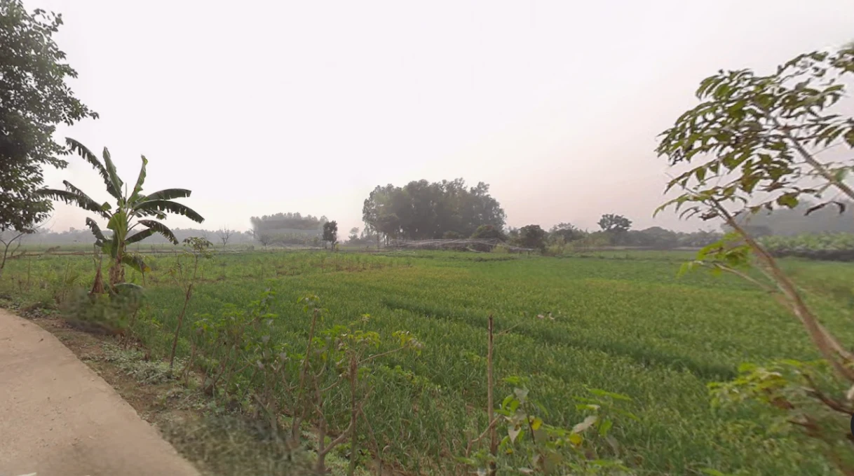 Muragachha, West Bengal, India