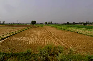 Bijauli, Uttar Pradesh 245206, India preview 3