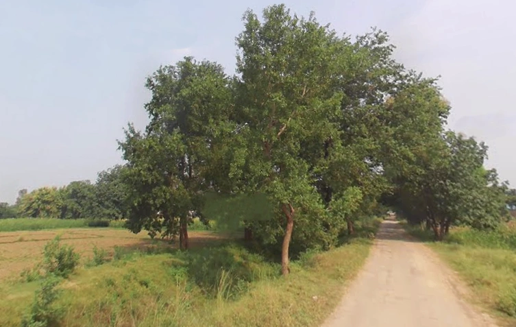 Kota Ghat, Uttar Pradesh 231211, India