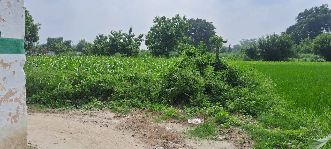 Bhujrakh, Banda, Uttar Pradesh 210128, India - Photo 2