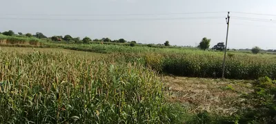 Lalpur, Uttar Pradesh, India preview 3