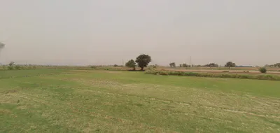 C88R+XHW, Soorsagar Ambapura, Rajasthan, India preview 2