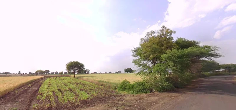 Badkummed, Madhya Pradesh 456661, India preview 3