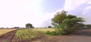 Badkummed, Madhya Pradesh 456661, India preview 3