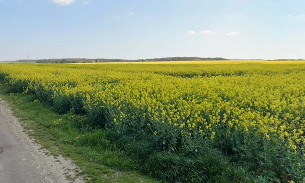 Bamhori, Madhya Pradesh 464551, India