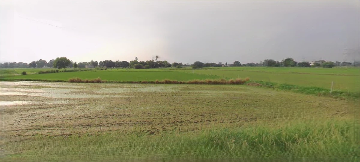 Kharkhoda, Haryana 131402, India