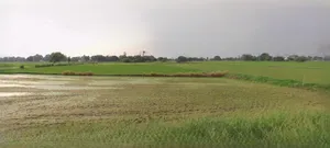 Kharkhoda, Haryana 131402, India preview 2