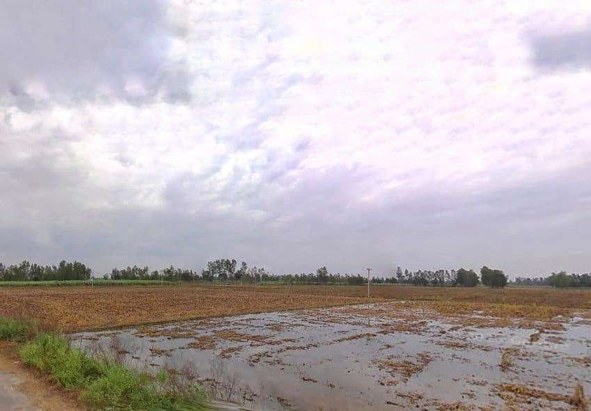 Puranpur Rd, Navadia Mankanth, Uttar Pradesh, India