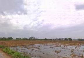 Puranpur Rd, Navadia Mankanth, Uttar Pradesh, India preview 2