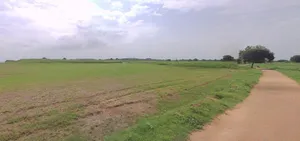 Jawasiya, Madhya Pradesh 458002, India preview 3