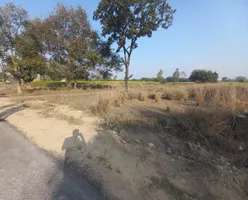 Sarojini Nagar, Lucknow, Uttar Pradesh, India preview 3