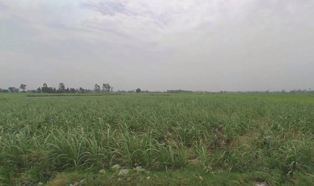 Nagina, Uttar Pradesh 246762, India