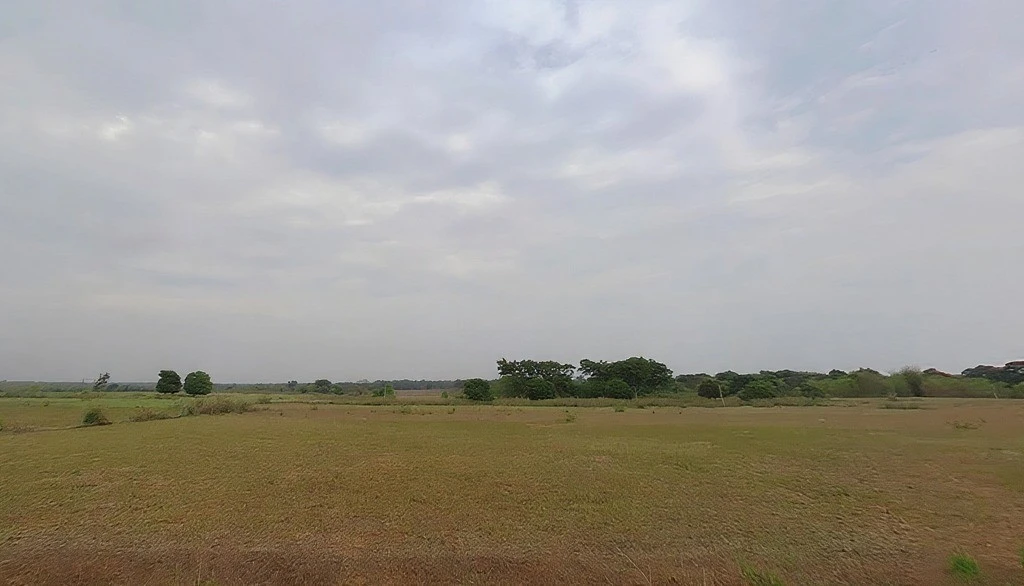 Chitapiri, Jharkhand 835227, India