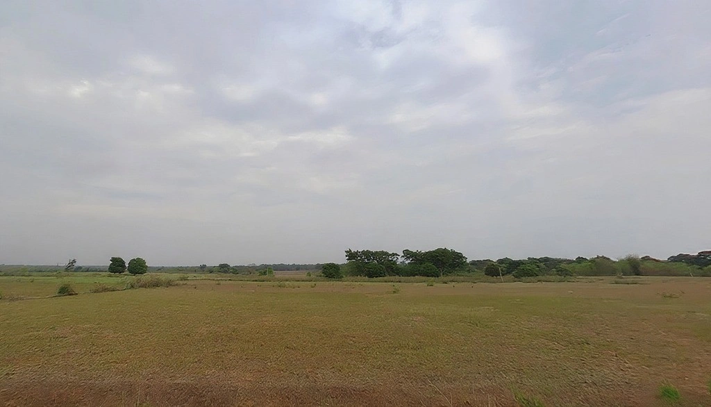 Chitapiri, Jharkhand 835227, India