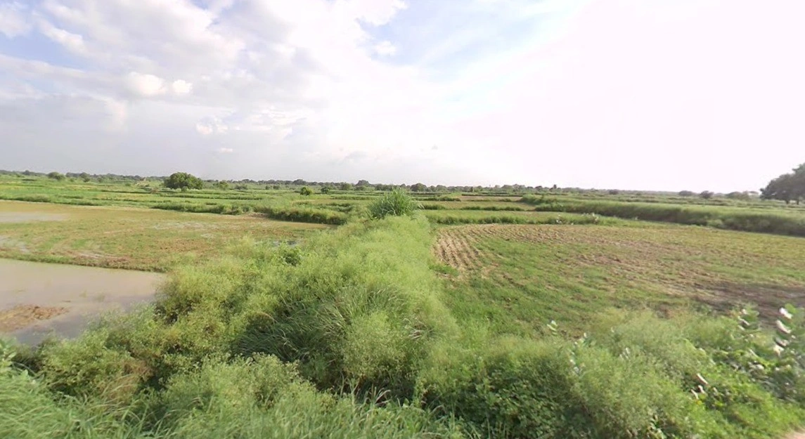 Nawagarh, Chhattisgarh 491337, India