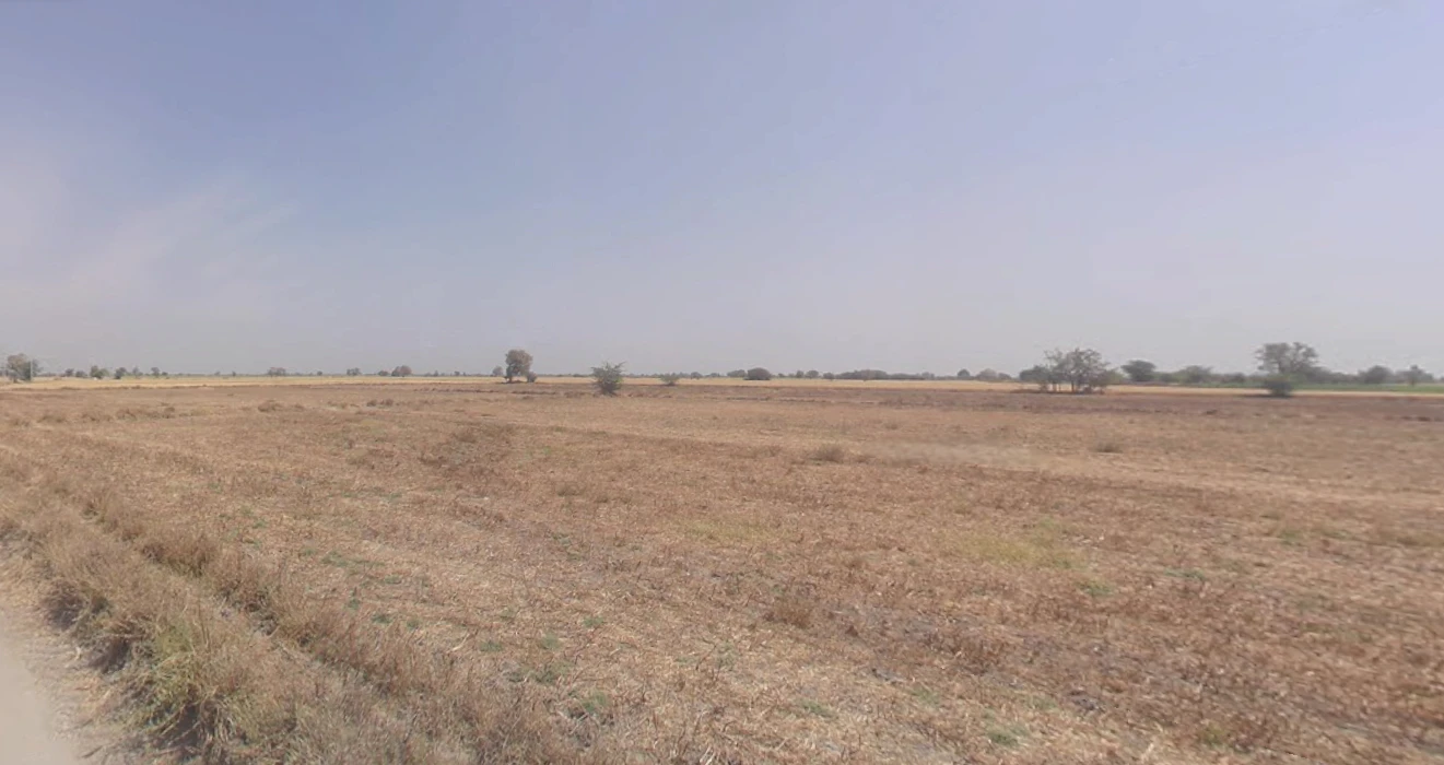 Dhamale Wadi, Gonawadi, Maharashtra 412108, India