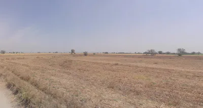 Dhamale Wadi, Gonawadi, Maharashtra 412108, India preview 2