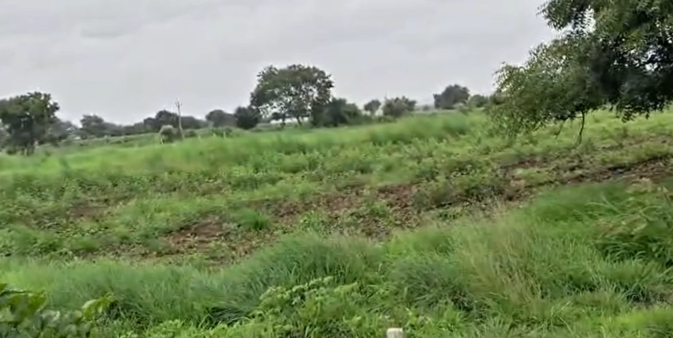 WJ3V+WX Jadavaraopalle, Narayanpet, Telangana, India