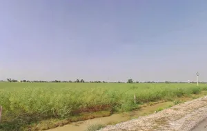 Hukampura, Rajasthan, India preview 2