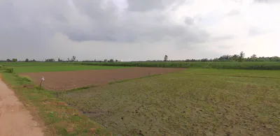 Kanth, Uttar Pradesh 244501, India preview 2