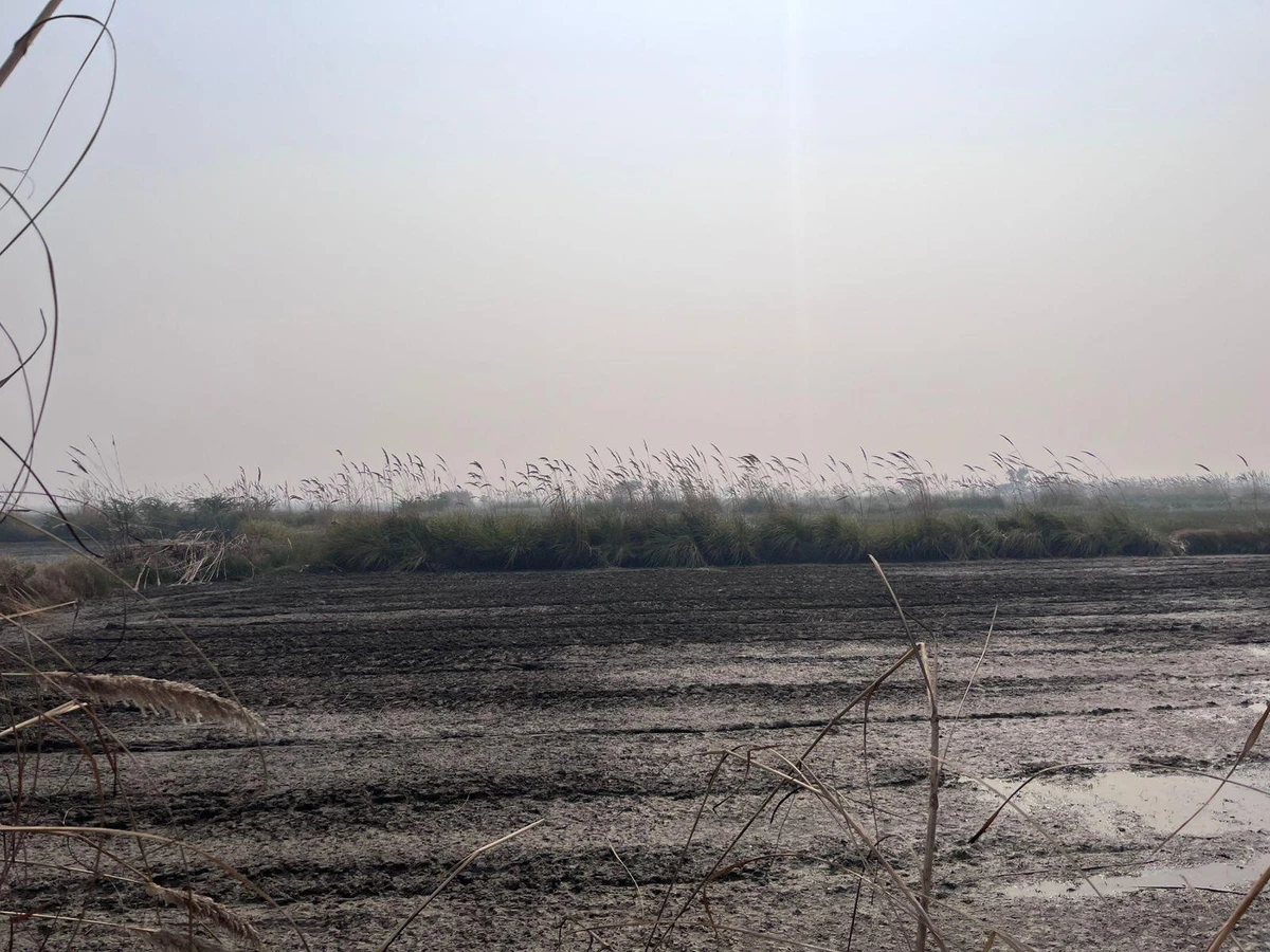 Pondri, Haryana, India