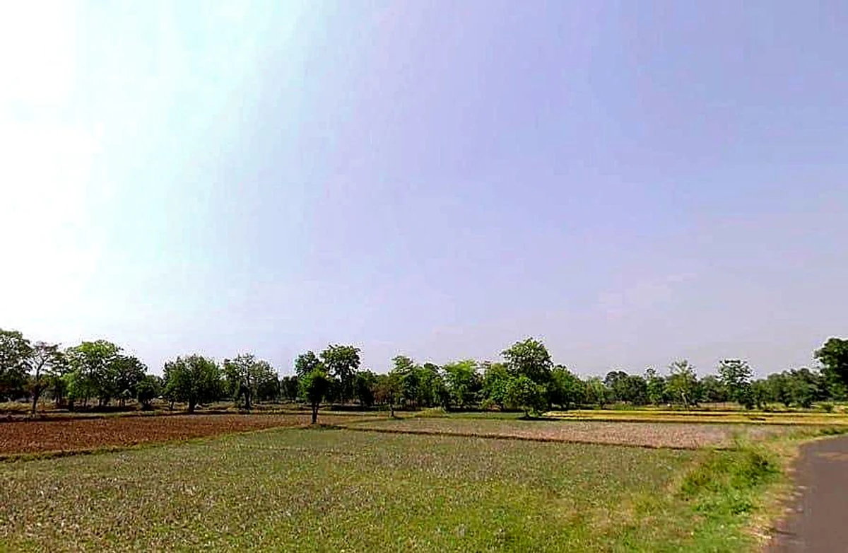 Tekri, Madhya Pradesh 481222, India