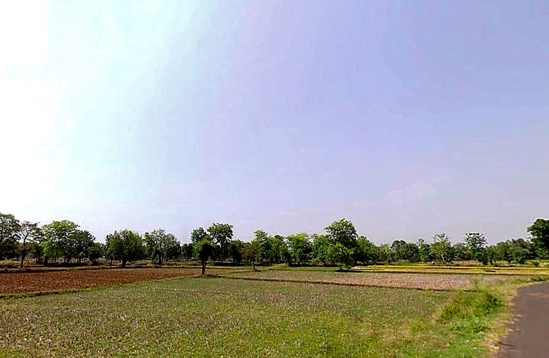 Tekri, Madhya Pradesh 481222, India