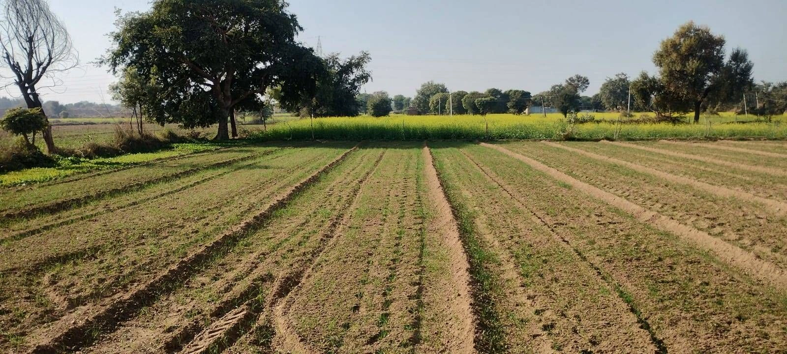 Zahidpur, Jhajjar, Haryana 124103, India preview 2