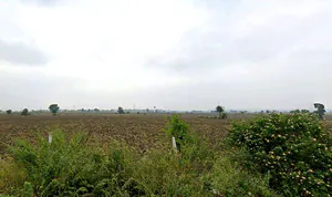 Kalali, Vadodara, Gujarat, India preview 2