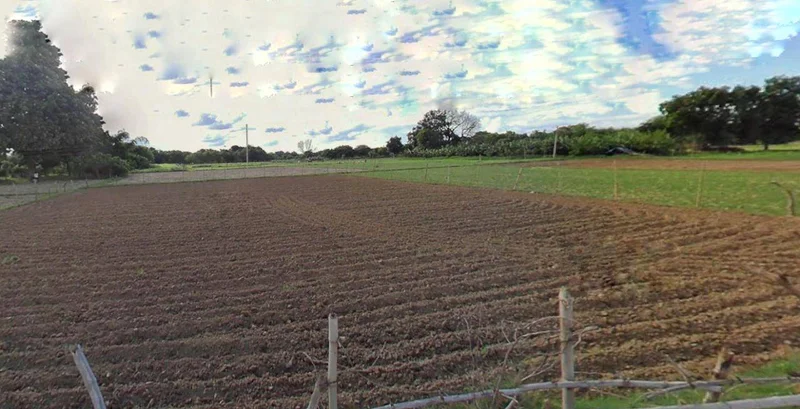 Barnagar, Madhya Pradesh 456771, India preview 3