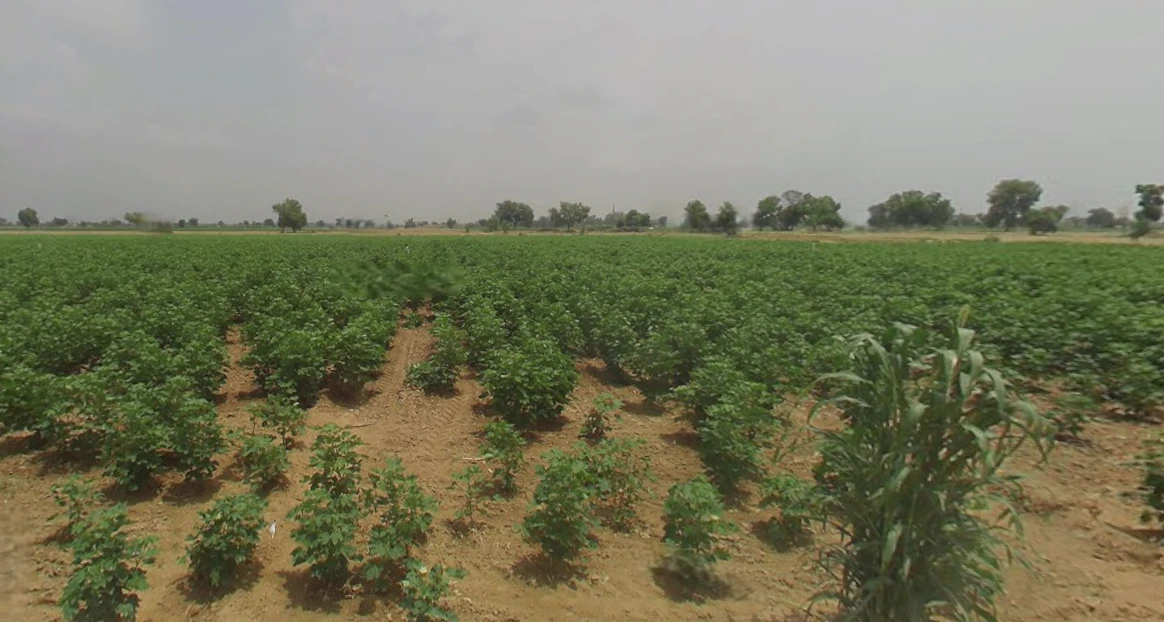 J745+M3R, Patsawra, West Bengal 713363, India