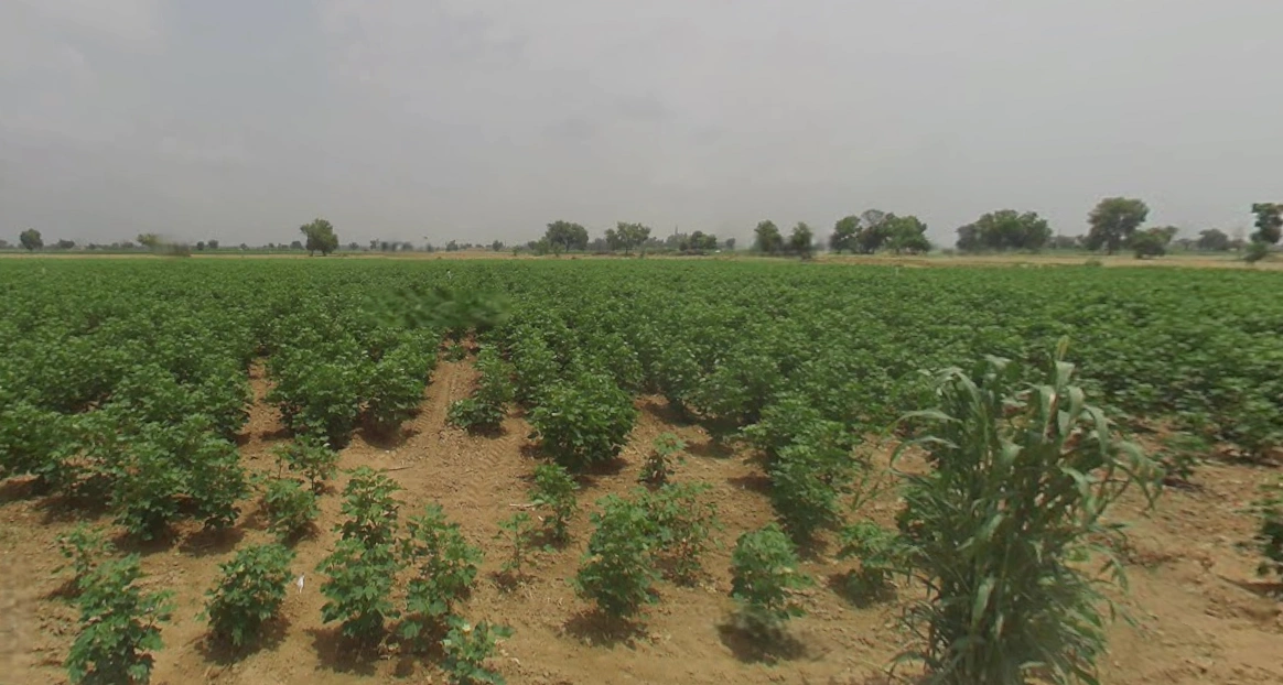 J745+M3R, Patsawra, West Bengal 713363, India