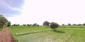 Kithoda, Madhya Pradesh, India preview 3