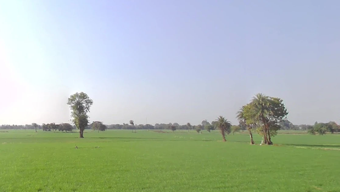 Nawagarh, Chhattisgarh 491337, India