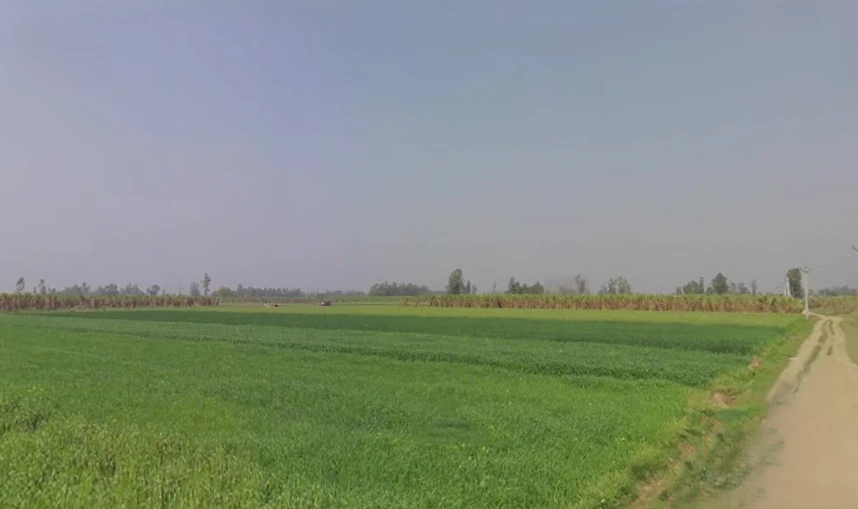 Mawana, Uttar Pradesh, India