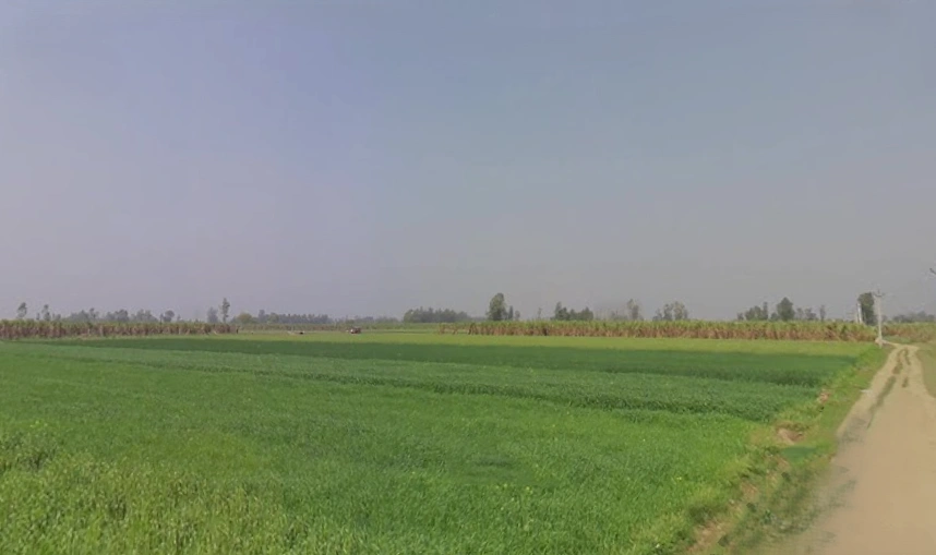 Mawana, Uttar Pradesh, India