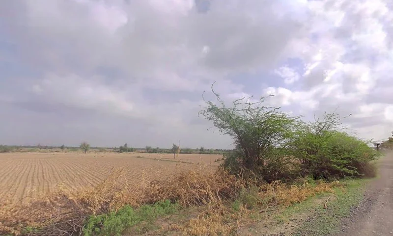 Keerwa, Rajasthan 306422, India preview 3