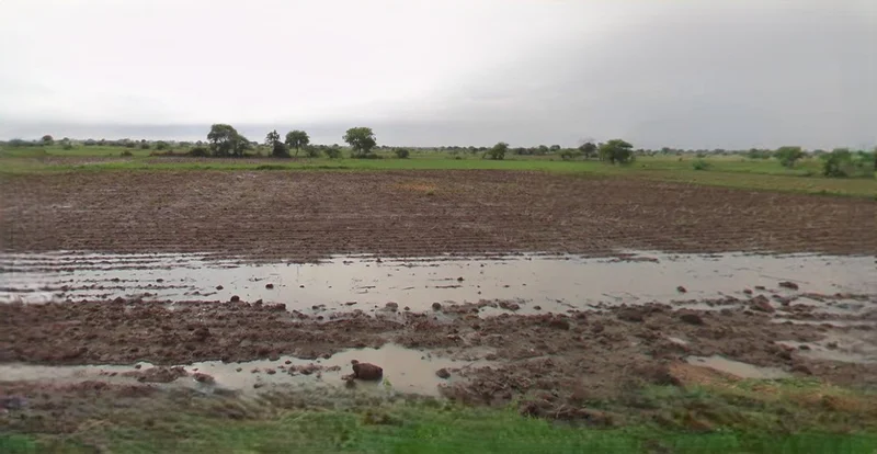 Kasganj, Uttar Pradesh 207123, India preview 3