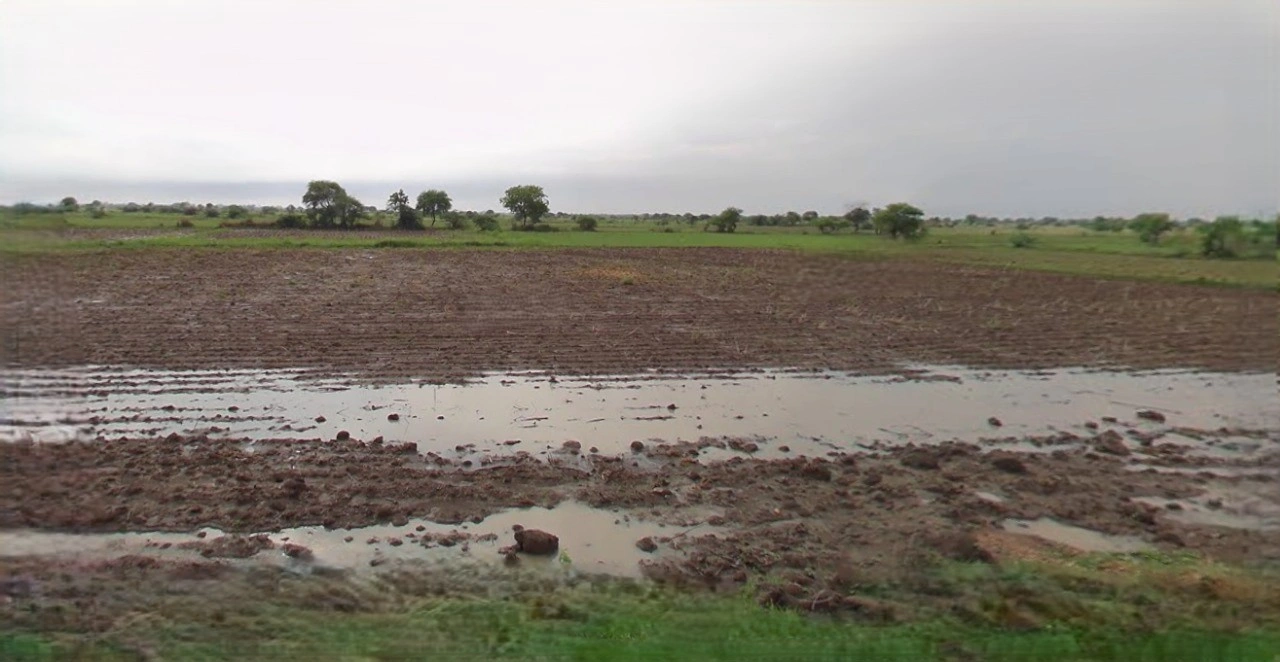 Kasganj, Uttar Pradesh 207123, India