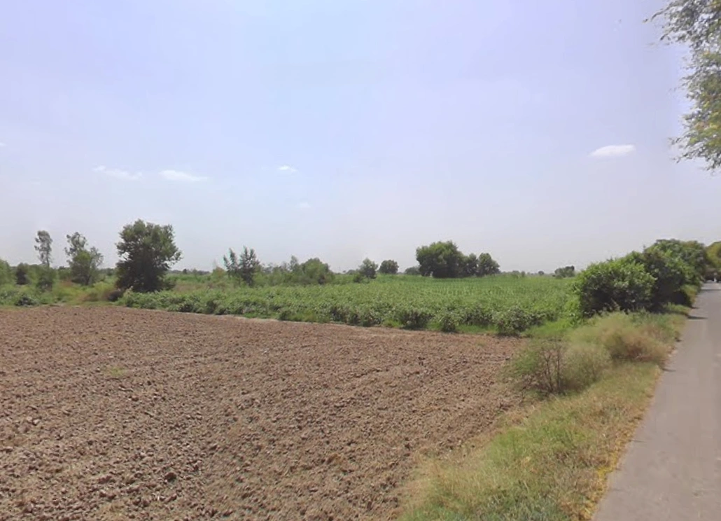 Bawani Khera, Haryana 127032, India