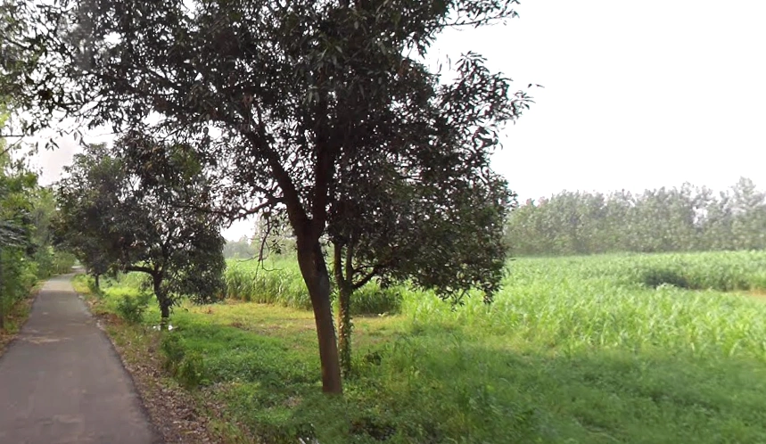 Satpura, Uttar Pradesh 247129, India